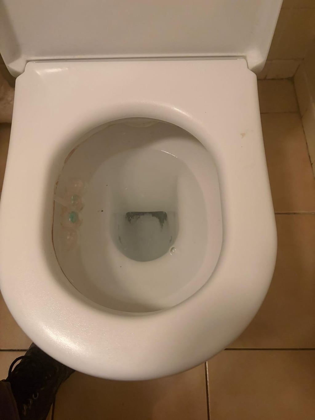 WC entièrement débouché et propre après intervention Nero Canalis à Watermael-Boitsfort, résultat final